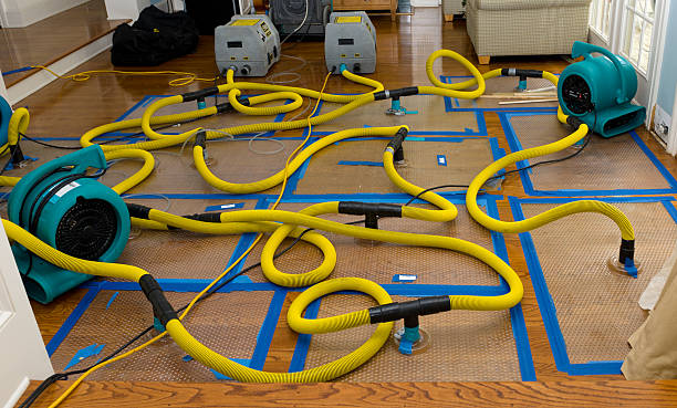 Professional Structural Drying And Dehumidification technician working in Fairmount, TN